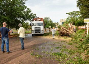 Prefeitura mobiliza forças municipais após temporal com ventos de 88,9 km/h