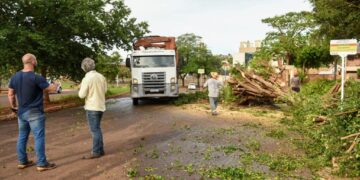 Prefeitura mobiliza forças municipais após temporal com ventos de 88,9 km/h