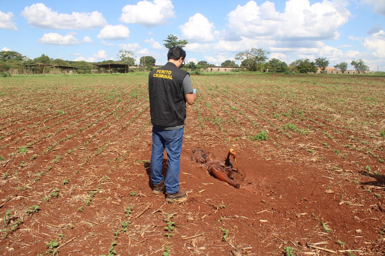 Homem que golpeou vítima na cabeça com machadinha é preso