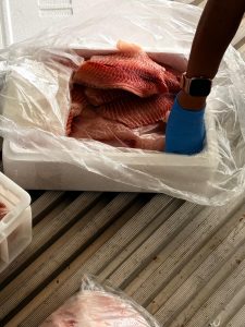 Cinco toneladas de tilápia irregular são apreendidas em caminhão na BR-463