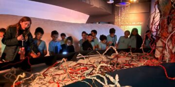 Arte e sustentabilidade se encontram no Mibio do Bioparque Pantanal