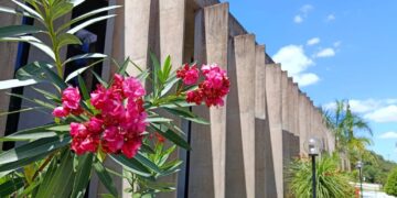Comissão de Educação da Assembleia debate defasagem salarial de professores da UEMS