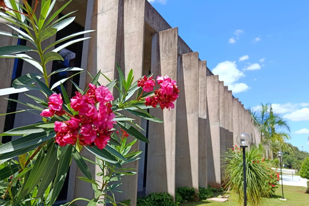 MS expande serviços para mulheres e crianças vítimas de violência