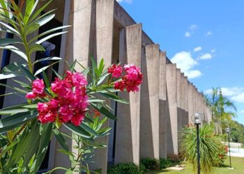 Agenda: Destaque da semana é lançamento do cronograma de emendas parlamentares 2026