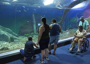 Bioparque Pantanal recebe selo internacional de sustentabilidade Bioparque Pantanal recebe selo internacional de sustentabilidade