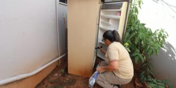 Com 18 mortes por dengue, SES reforça vacinação e cuidados em MS