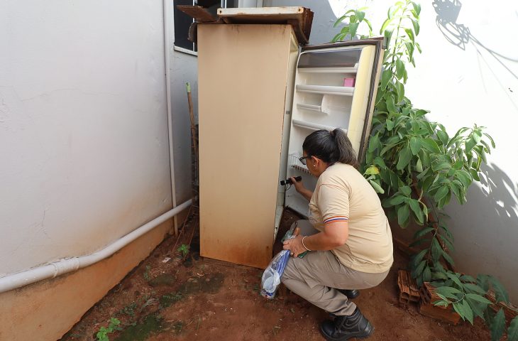 Com 18 mortes por dengue, SES reforça vacinação e cuidados em MS