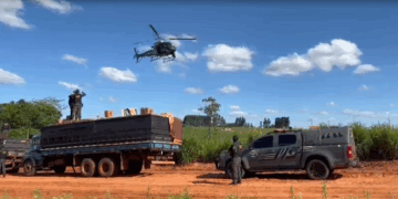 DOF apreende cigarros contrabandeados e agrotóxicos em Mundo Novo