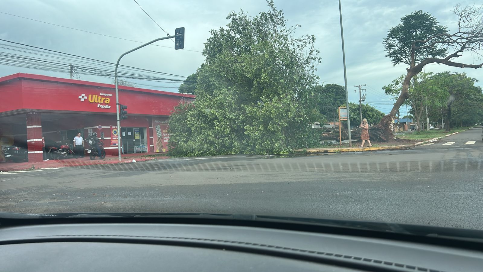 Chuva intensa provoca quedas de árvores e interdições em vias da Capital