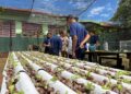 Escola em Campo Grande ensina sustentabilidade com horta hidropônica Escola em Campo Grande ensina sustentabilidade com horta hidropônica