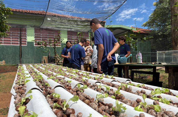 Escola em Campo Grande ensina sustentabilidade com horta hidropônica
