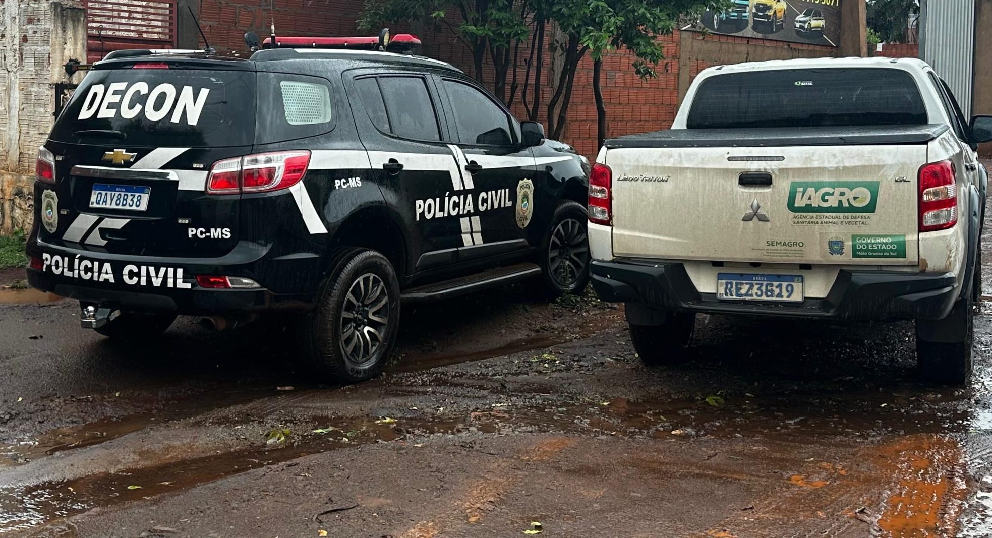 Fábrica de laticínios é interditada após flagrante de produtos sem registro (vídeo)