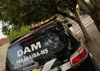 Mulher é condenada a mais de 22 anos por perseguição virtual e crimes contra 15 vítimas em Paranaíba Mulher é condenada a mais de 22 anos por perseguição virtual e crimes contra 15 vítimas em Paranaíba