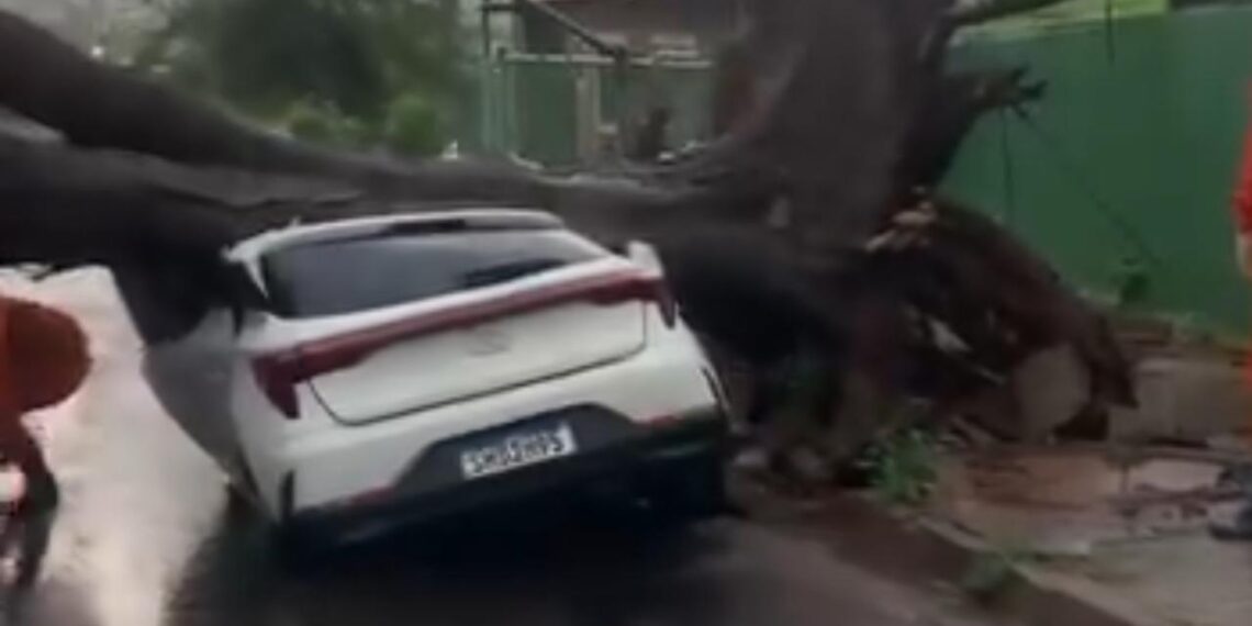 Vídeo: Chuva rápida provoca estragos e árvore cai sobre carro próximo à Santa Casa