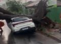 Vídeo: Chuva rápida provoca estragos e árvore cai sobre carro próximo à Santa Casa Vídeo: Chuva rápida provoca estragos e árvore cai sobre carro próximo à Santa Casa