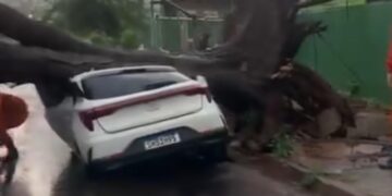 Vídeo: Chuva rápida provoca estragos e árvore cai sobre carro próximo à Santa Casa