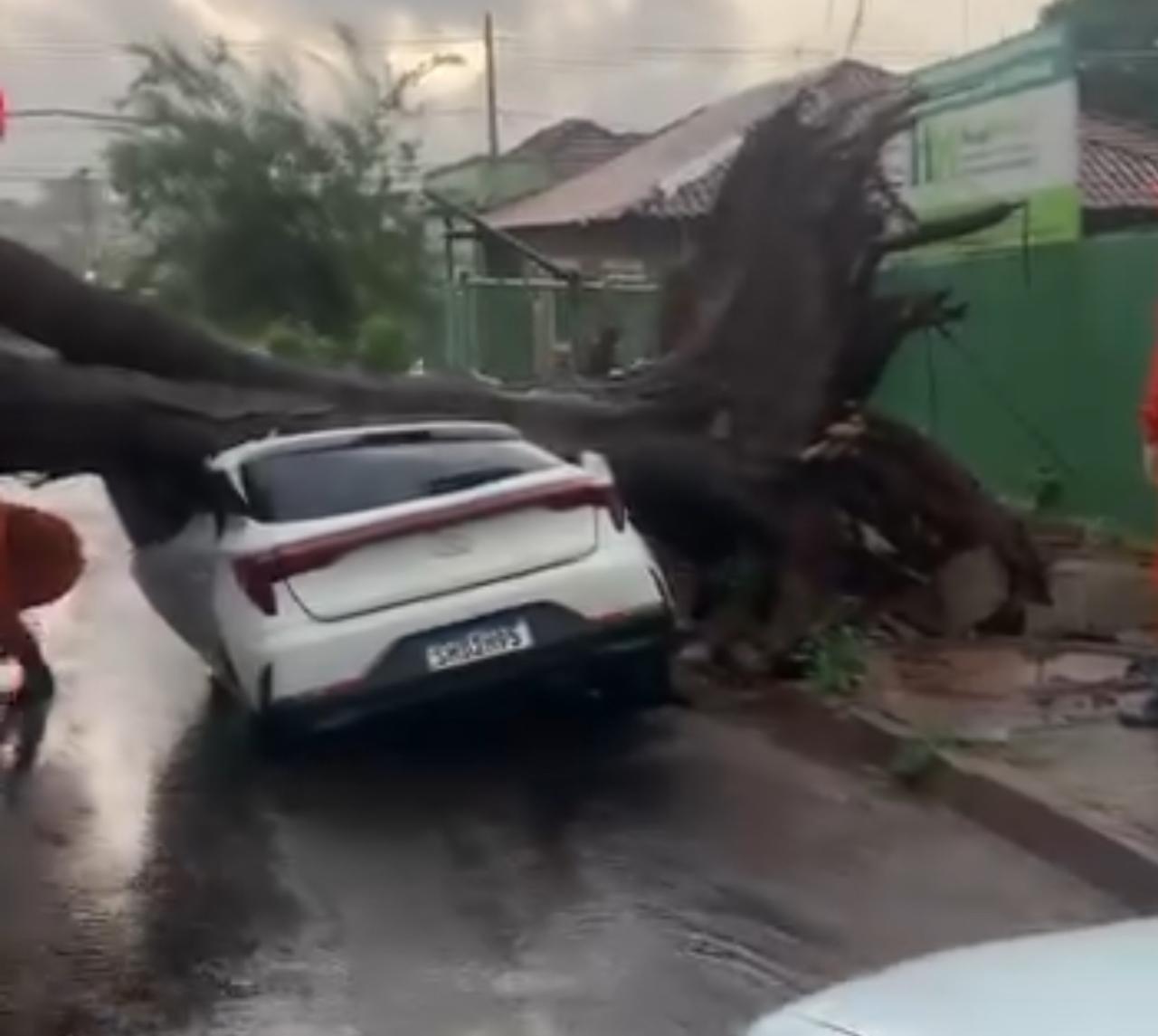 Vídeo: Chuva rápida provoca estragos e árvore cai sobre carro próximo à Santa Casa