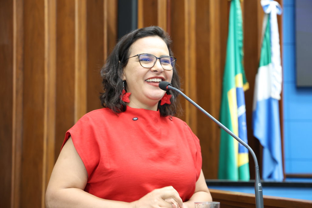 Deputados da ALEMS falam do cenário econômico estadual Deputados da ALEMS falam do cenário econômico estadual