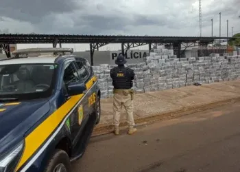 Polícia apreende 5,6 toneladas de maconha em caminhão na BR-158 em Paranaíba