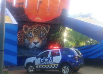 Ação da Guarda Municipal ajuda jovem a reencontrar a família após três dias nas ruas Ação da Guarda Municipal ajuda jovem a reencontrar a família após três dias nas ruas