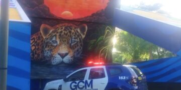 Ação da Guarda Municipal ajuda jovem a reencontrar a família após três dias nas ruas