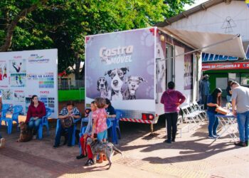 Castramóvel oferece serviços gratuitos para pets neste sábado no Bosque dos Ipês Castramóvel oferece serviços gratuitos para pets neste sábado no Bosque dos Ipês