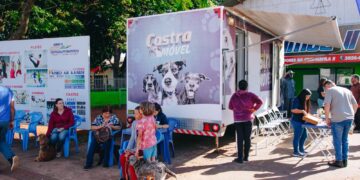 Castramóvel oferece serviços gratuitos para pets neste sábado no Bosque dos Ipês