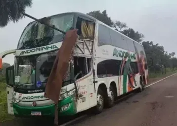 Polícia conclui investigação e responsabiliza motorista por acidente na BR-262 Polícia conclui investigação e responsabiliza motorista por acidente na BR-262