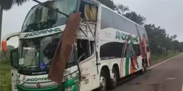 Polícia conclui investigação e responsabiliza motorista por acidente na BR-262