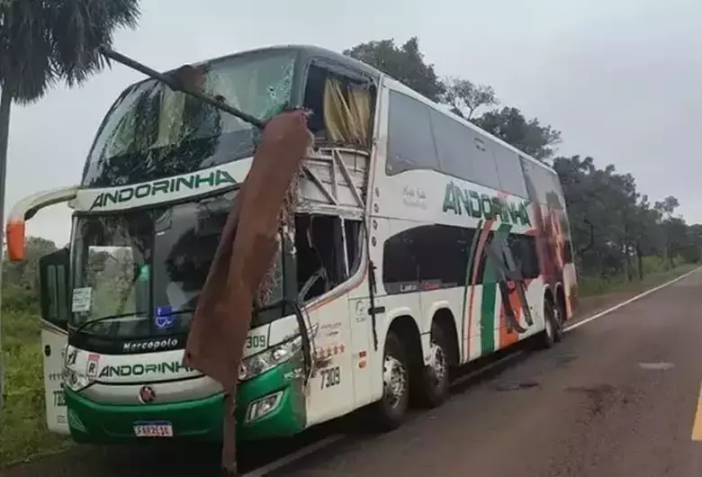 Polícia conclui investigação e responsabiliza motorista por acidente na BR-262