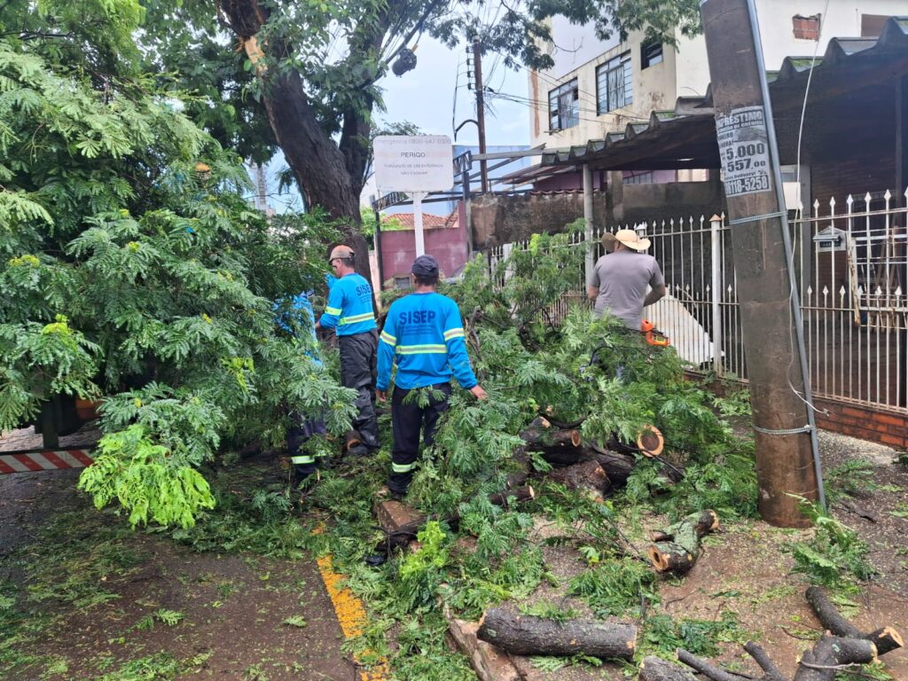 Prefeitura executa limpeza e ações emergenciais após fortes chuvas Prefeitura executa limpeza e ações emergenciais após fortes chuvas