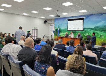 Plano quer reduzir atropelamentos de animais na BR-262, no Pantanal Plano quer reduzir atropelamentos de animais na BR-262, no Pantanal