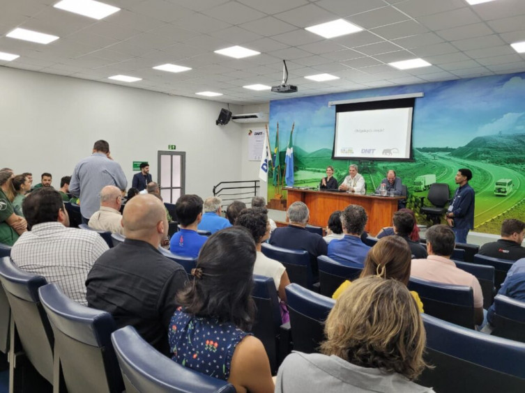 Plano quer reduzir atropelamentos de animais na BR-262, no Pantanal