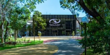 TCE-MS cria reserva de vagas para mulheres vítimas de violência doméstica