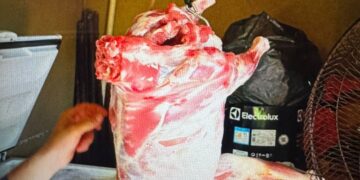 Furto de carneiros é esclarecido em Anaurilândia em menos de 48 horas