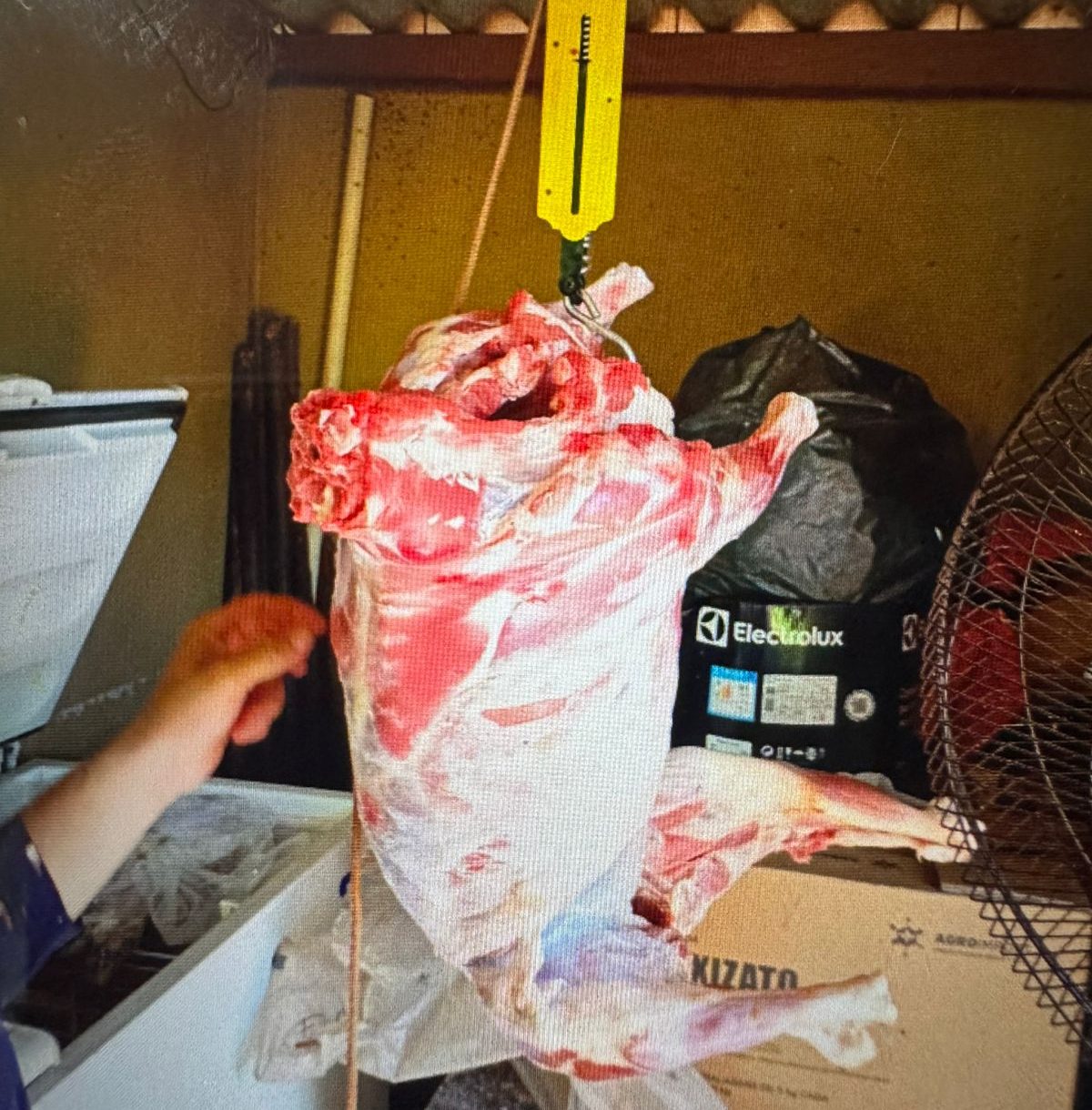 Furto de carneiros é esclarecido em Anaurilândia em menos de 48 horas