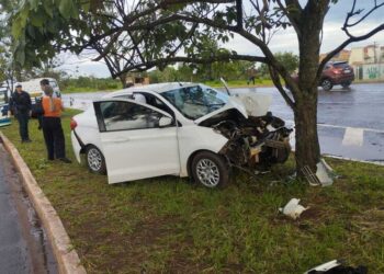 Motorista morre após bater contra árvore na Avenida Ministro João Arinos Motorista morre após bater contra árvore na Avenida Ministro João Arinos