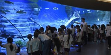 Bioparque Pantanal fecha 2025 com selo internacional e números históricos