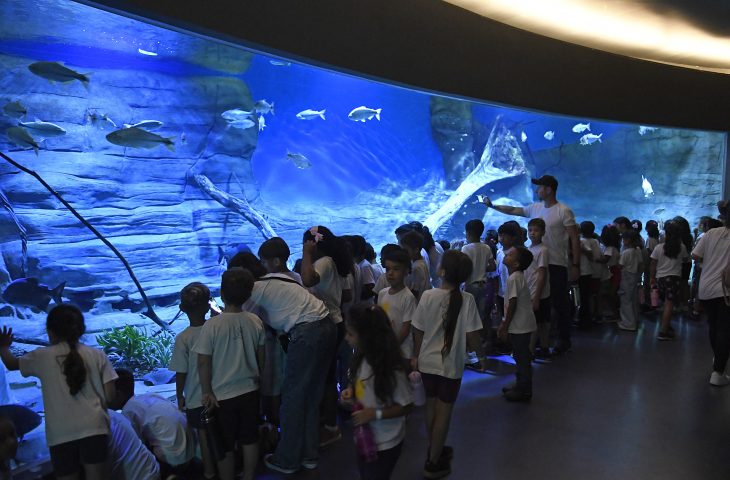 Bioparque Pantanal fecha 2025 com selo internacional e números históricos