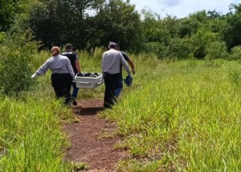 Pneus e madeira foram usados para queimar corpo encontrado