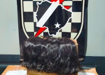 PM apreende cerca de 180 quilos de cabelo humano na fronteira com o Paraguai
