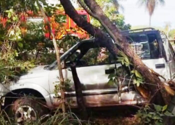 Casal sofre acidente com caminhonete na BR-262