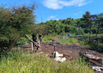 Corpo carbonizado é encontrado em área de mata
