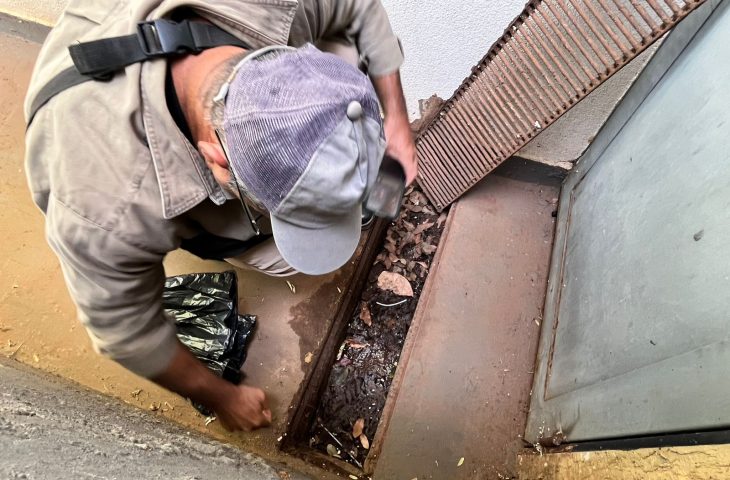 MS ultrapassa 14 mil casos de dengue em 2025 e confirma 18 mortes