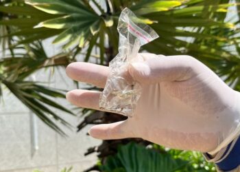 Mato Grosso do Sul chega a 18 mortes por dengue e mantém outros 7 casos em investigação