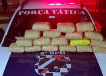 PM apreende quase 10 kg de maconha em ônibus na rodoviária de Corumbá PM apreende quase 10 kg de maconha em ônibus na rodoviária de Corumbá