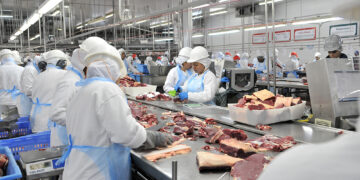 Setor industrial de MS criou 14 mil novas vagas entre janeiro e outubro de 2025