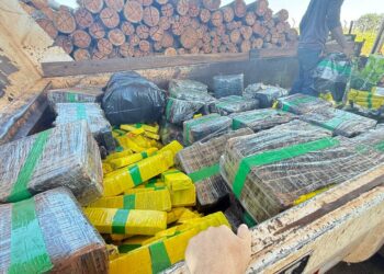 Iguatemi incinera quase duas toneladas de drogas apreendidas