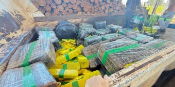 Iguatemi incinera quase duas toneladas de drogas apreendidas