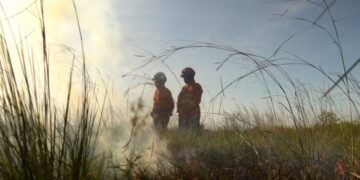 Operação Pantanal 2025 registra menor índice de incêndios em MS e reforça ações preventivas